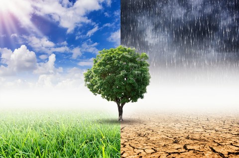 Prédictions pour les prochains mois jusqu'en 2024 - Climat Prédictions pour les prochains mois jusqu'en 2024 - Climat